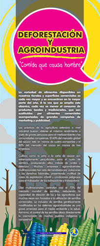 Exposición sobre deforestación