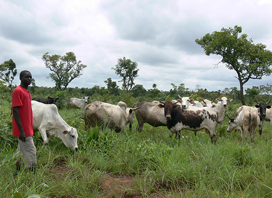 Proyecto Clima PROYDE